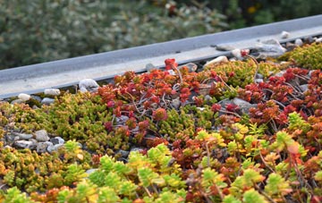 the cost of Llanddewi Rhydderch green roof installation